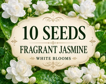 ジャスミン様確認用 Blooms93 スカイフラワー 多年生 ウィーピング ジャスミン 10粒 ザデン