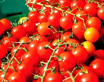 250 Super Sweet Cherry Tomato Seeds | Heirloom Non-GMO | Delicious Garden Fresh Tomatoes