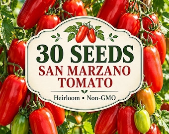 San Marzano Tomato Seeds | Heirloom Non-GMO Determinate Variety (30 Seeds)