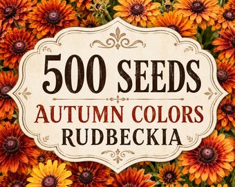 500 Autumn Colors Rudbeckia Seeds | Rustic Orange Black-Eyed Susan Garden Flowers