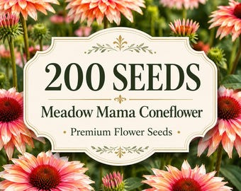 200 graines d'échinacée 'Meadow Mama', vivace, fleurs mellifères