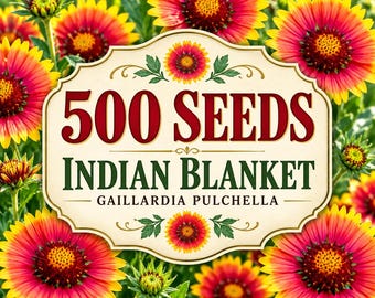 500 Indian Blanket Flower Seeds | Gaillardia Pulchella | Heirloom Non-GMO | Pollinator & Hummingbird Garden