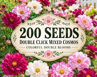 200 Double Click Mixed Cosmos Seeds, Colorful Double Blooms, Easy Grow Garden Flowers