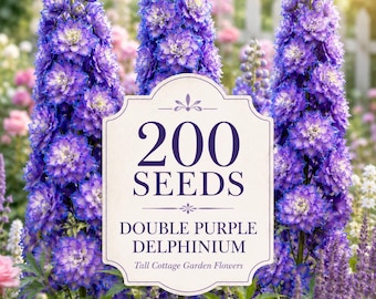 200 Highlander Bolero Delphinium Seeds - Purple & Blue Double Blooms