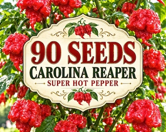 90 Carolina Reaper Pepper Seeds | Super Hot Capsicum chinense (Non-GMO Heirloom)