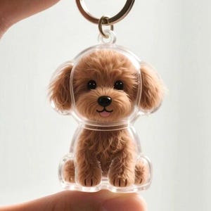 May include: A brown poodle dog keyring in a clear plastic case. The dog has a fluffy appearance with black eyes and a pink tongue. The keyring has a gold-coloured ring.
