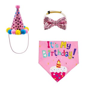Conjunto para festa de aniversário de cachorro: chapéu, gravata borboleta e bandana