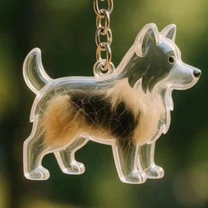 Peut inclure: Un porte-clés en forme de chien en acrylique transparent avec une chaîne dorée. Le porte-clés contient un morceau de fourrure marron, noire et beige. Le chien est debout, la queue recourbée. L'arrière-plan est vert flou.