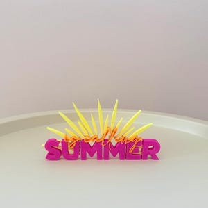 Könnte beinhalten: Ein dreidimensionales Schild mit dem Wort "SUMMER" in leuchtend pinkfarbenen Blockbuchstaben. Darüber stehen die Wörter "soaking" und "calling" in orangefarbener Schrift, mit gelben Sonnenstrahlen.