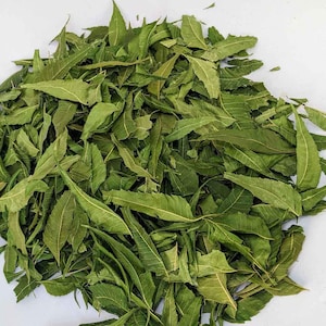 200+Natural Jamaican Neem Leaves Cut, Wildcraft  Authentic Organic Flavor From Ceylon