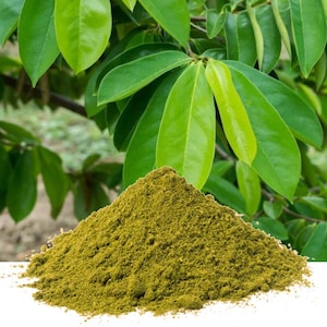 250g  Soursop dried leaves | graviola guanabana | Annona muricata | Soursop Extract | Soursop Leaves Powder From Ceylon