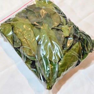 Organic Soursop Leaves | Premium Quality Graviola Leaves | Hojas de guanabana | Best for Soursop tea | Wild-Harvested  From Ceylon