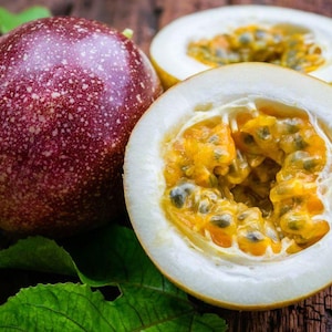 100 semi freschi di frutto della passione rosso da Ceylon