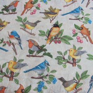 Puede incluir: Una tela blanca con un patrón repetitivo de pájaros coloridos. Los pájaros se representan en una variedad de poses, incluyendo volando, posados y cantando. La tela es perfecta para acolchar, manualidades y decoración del hogar.