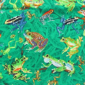 Green Colorful Frogs // Helen Vladykina Robert Kaufman AHV2728 // 100% Cotton Quilt Fabric Novelty Print oop // Price is for TWO yards total
