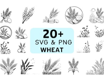 Pacote de imagens SVG e PNG de trigo, clipart de silhueta de talo de trigo, vetor de grãos agrícolas