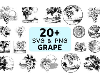 Pacote de imagens SVG e PNG de uvas, clipart de cacho de uvas, vetor de frutas de vinhedo