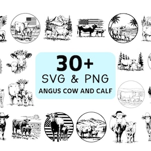 May include: Black and white illustrations of Angus cows and calves in various scenes, including landscapes, American flags, and circular designs. Text reads "30+ SVG & PNG ANGUS COW AND CALF".