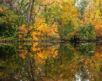 May include: A serene landscape featuring a body of water reflecting the vibrant colors of autumn. The image showcases a mix of green, yellow, and orange foliage, with trees lining the water's edge. The water's surface mirrors the scene above, creating a symmetrical effect.