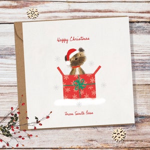 Border Terrier Christmas Card