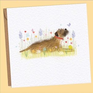 May include: A brown and white dog with a red collar is lying in a field of flowers. The dog is looking up at a butterfly flying above. There is a yellow ball in the grass near the dog.