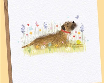 Border terrier dans les fleurs sauvages