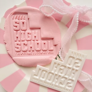 I feel so high school Taylor swift - Cookie Stamp & Cutter STL FILE ONLY