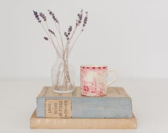 Vintage petit made in England-theekop, petit-mok met rood ontwerp