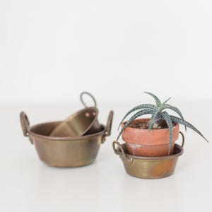 May include: Two small, antique brass bowls with handles, one containing a smaller bowl. A terracotta pot with a succulent plant sits atop a similar brass bowl. The items are arranged on a white surface.