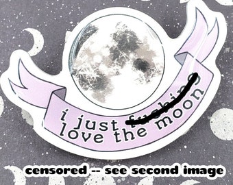 I Just F***ing Love the Moon Pin, Witchy Pins, Astrology Pin, Astronomy Pin, Moon Brooch, Moon Pin, Full Moon Jewelry, Moon Jewelry