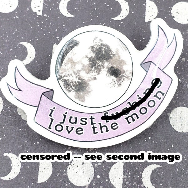 I Just F***ing Love the Moon Pin, Witchy Pins, Astrology Pin, Astronomy Pin, Moon Brooch, Moon Pin, Full Moon Jewelry, Moon Jewelry