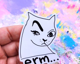 May include: A white sticker featuring a cat with a skeptical expression, drawn in black ink. The cat has a furrowed brow, a sideways glance, and the word "erm..." printed below.