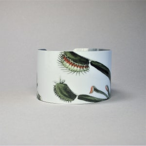 Pu&ograve; includere: Contenitore cilindrico in ceramica bianca con un'illustrazione botanica di una Venere acchiappamosche. La Venere acchiappamosche &egrave; raffigurata in tonalit&agrave; di verde, rosso e bianco. Il contenitore &egrave; un oggetto decorativo.