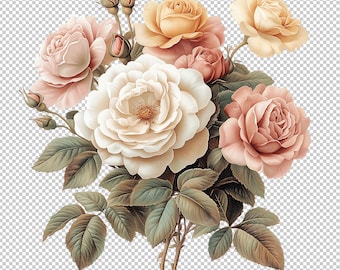 Peach Roses Clipart Bundle, Floral PNG (Digital Download)