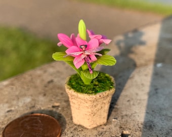 Miniature 1:12 Scale Dollhouse Dragonfly in Magenta Pink