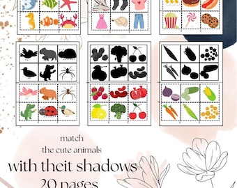 Match the objects to their shadows