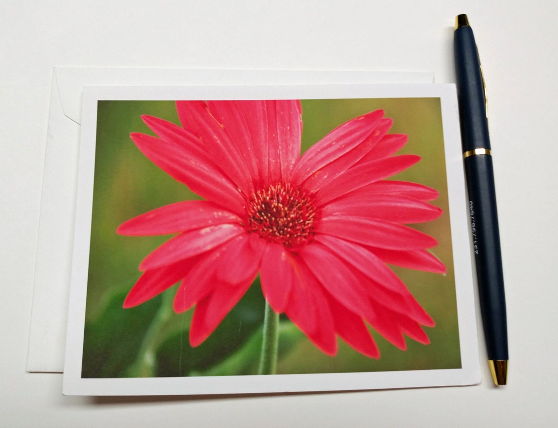 Flower Note Card Blank Note Card Flower Blank Note Card Etsy