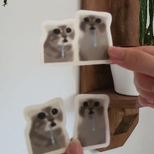 May include: A set of die-cut stickers featuring a light brown cat with large, watery eyes and a single blue droplet falling from its mouth. The stickers are presented in two pairs, showing the same cat expression with a white border around each image.