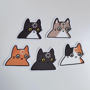 Op de afbeelding: Vijf gestanste stickers met cartoon-kattenkoppen in diverse kleuren zoals zwart, bruin, oranje en lapjeskat. Elke kat heeft grote, ronde ogen en een wit laadicoon op het voorhoofd, weergegeven in een platte, grafische tekenstijl.