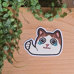 Thumbs Up Crying Cat // Vinyl Sticker