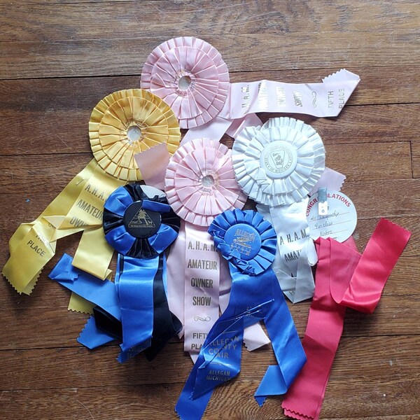 Horse Show Ribbons Etsy