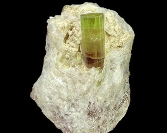 Può includere: Un esemplare di minerale naturale con un cristallo di tormalina verde e marrone rossiccio incastonato in una matrice bianca. Il cristallo di tormalina è cilindrico e traslucido, con una sfumatura di colore. La matrice è ruvida e strutturata.