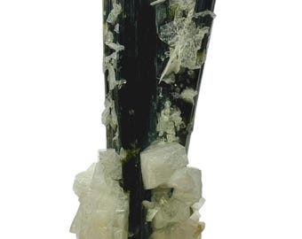 TOURMALINE ~ Pair of Green Cap Crystals Combined with Cleavelandite from Astak nala mine Pakistan