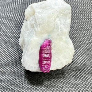 May include: A raw ruby crystal, a vibrant magenta hue, is embedded in a white, textured rock. The ruby's crystalline structure is visible. The rock sits on a gray, patterned surface, showcasing the natural beauty of the gemstone.