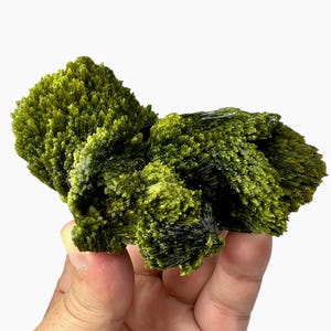 Epidote Exquisite Moss Green Cluster from Raskoh mine Baluchistan Pakistan