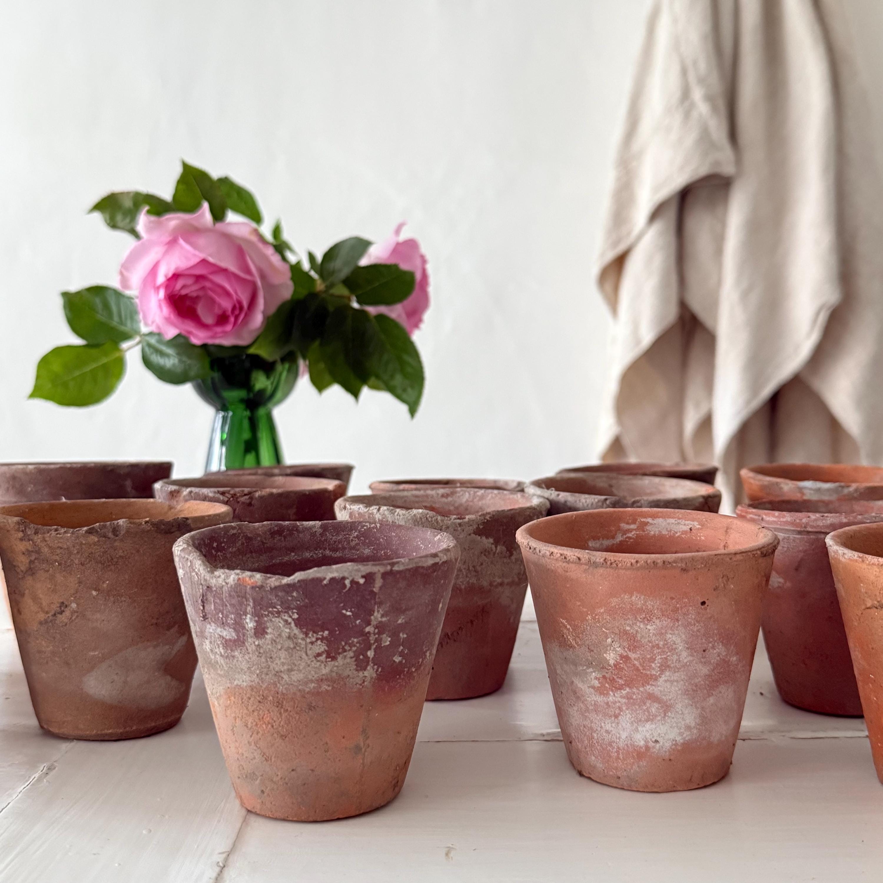 Trio French Antique Vintage Terracotta Plant Pots Etsy Trio French Antique Vintage Terracotta Plant Pots Etsy