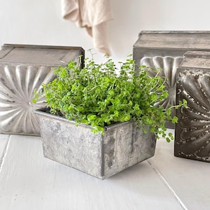 May include: A rectangular, weathered metal planter filled with vibrant green plants. The planter sits on a white surface, with three decorative metal moulds in the background. The moulds have ornate, embossed designs. The overall aesthetic is rustic and vintage.