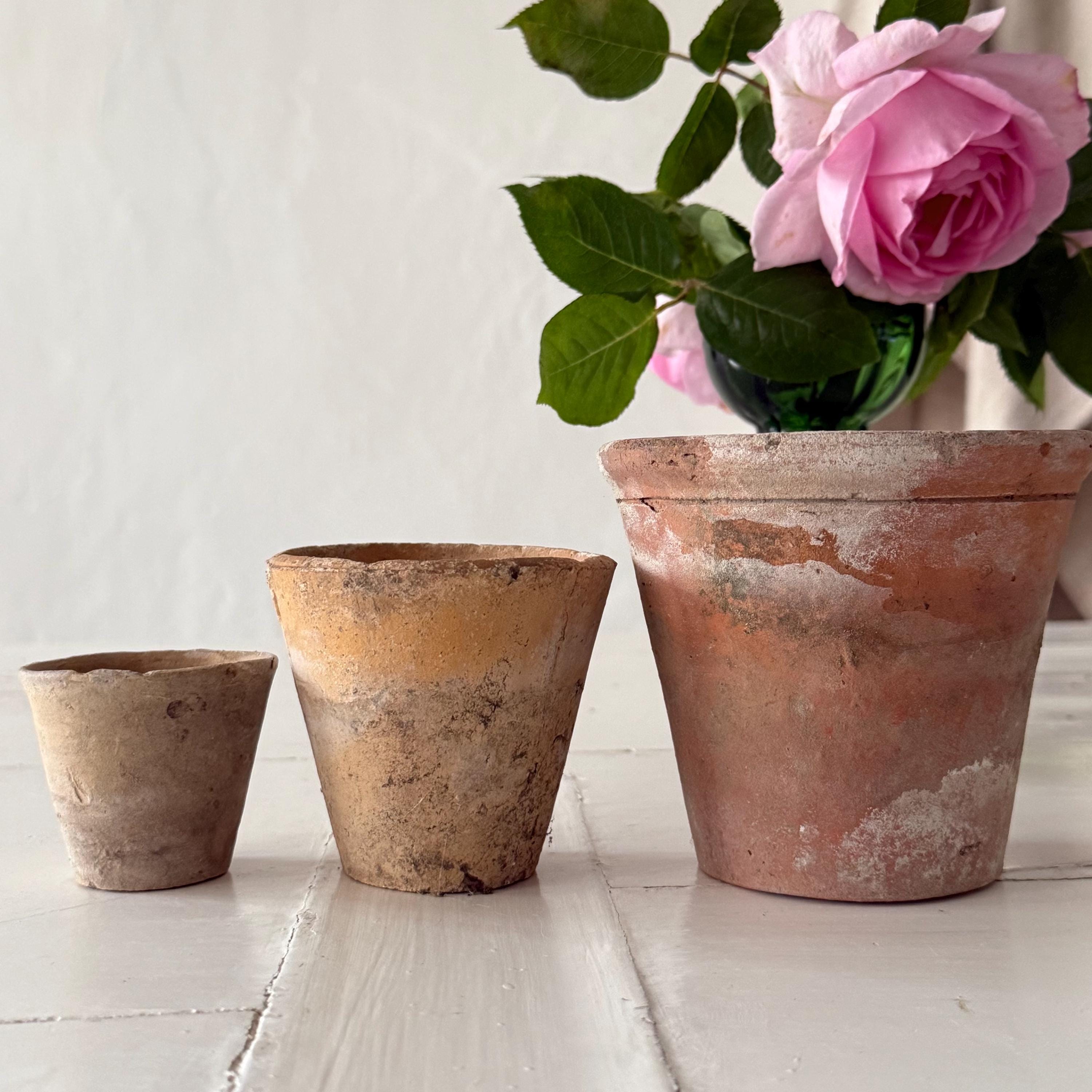 Trio French Antique Vintage Terracotta Plant Pots Etsy Trio French Antique Vintage Terracotta Plant Pots Etsy