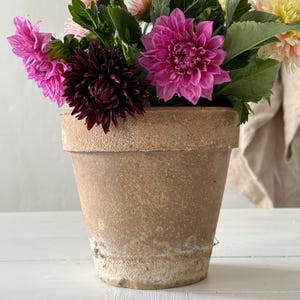 Large French Vintage Terracotta Plant Pot