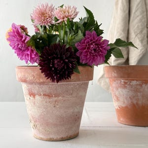Large French Vintage Terracotta Plant Pot